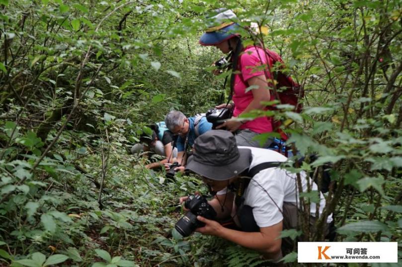 峨眉山6月旅游攻略