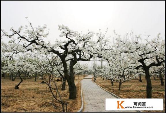 山东乡村旅游农家乐哪里好