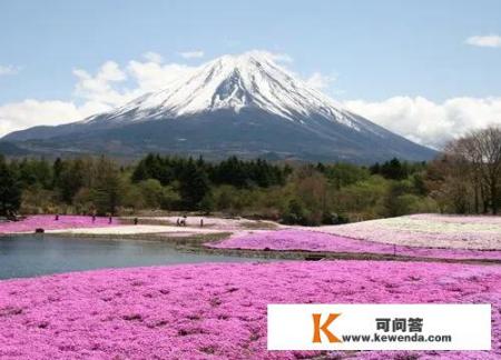 去日本旅游哪些地方一定要去