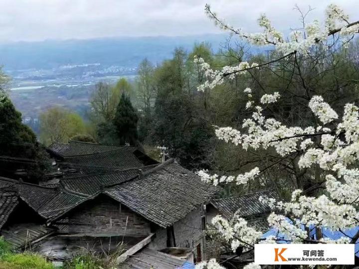 买上海都市旅游卡和交通卡哪个好