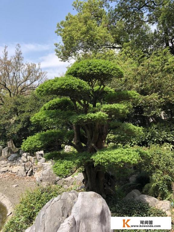 旅游带哪些零食比较好