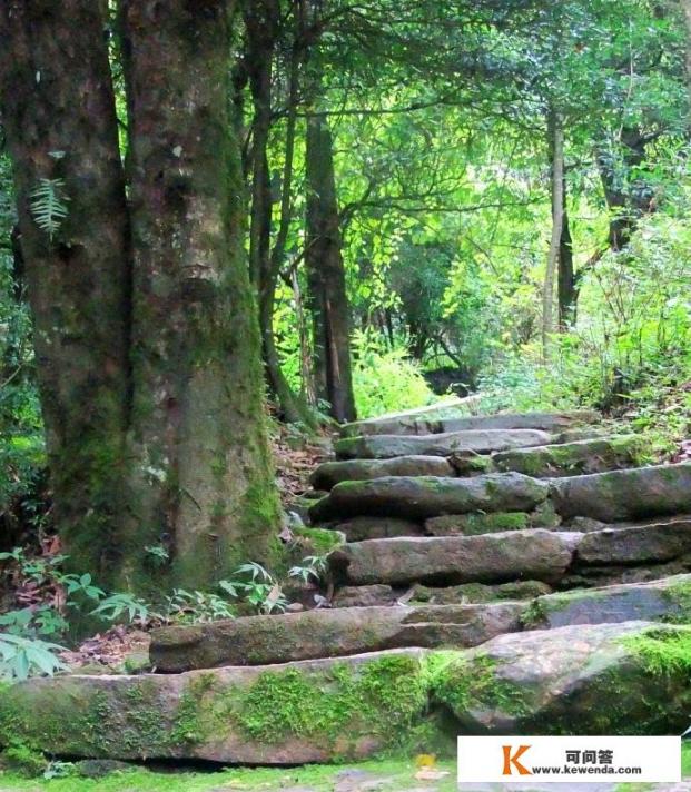 普洱那柯里景区介绍