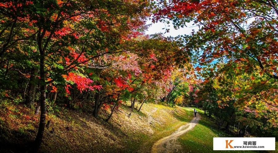 临江市有什么旅游景点和当地特色