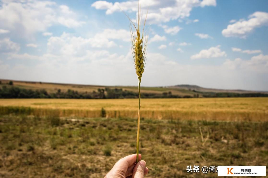 男人冷淡你，你会怎么办