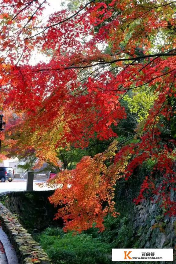 12月份去日本旅游好吗