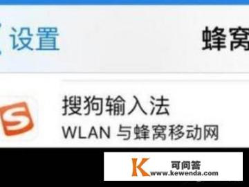 苹果手机如何限制应用联网