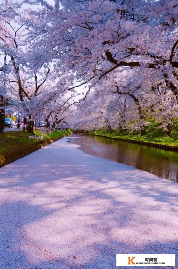 日本旅游，有哪些地方是必须要去玩的