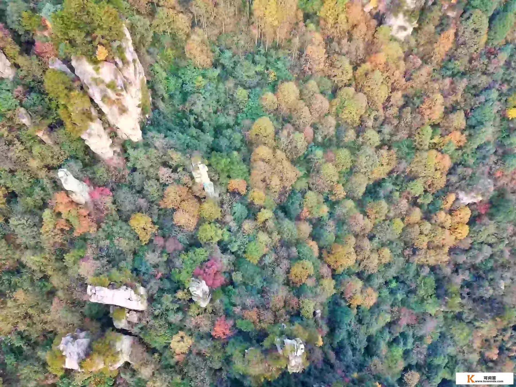 张家界旅游季节是几月