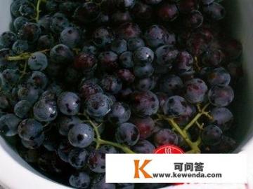 自制葡萄酒的正确做法