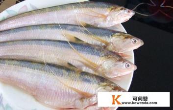 刀鱼，带鱼，秋刀鱼有啥区别？价格怎么差那么多