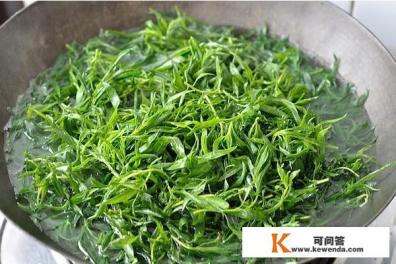 兔子可以吃扫帚菜吗