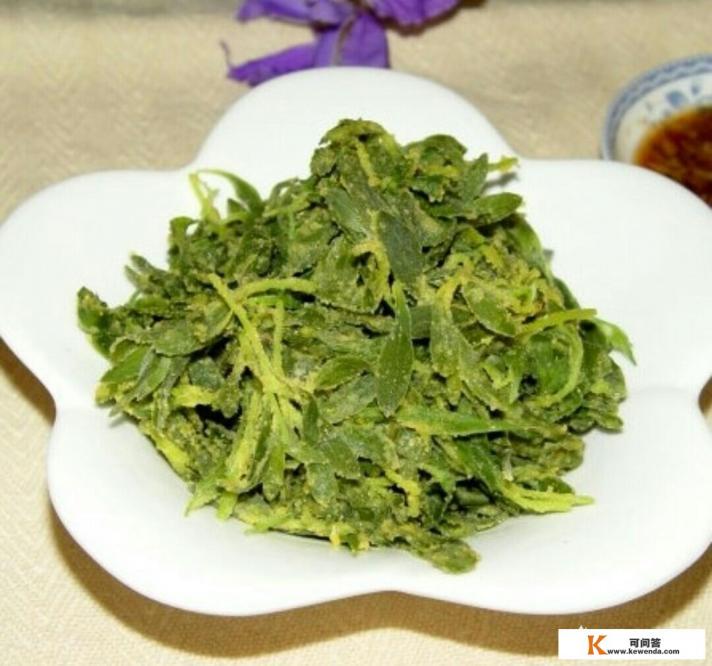 兔子可以吃扫帚菜吗