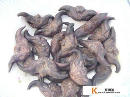 一个旅游美丽乡村可以投资什么项目