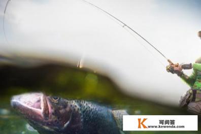 钓鱼技术之溜鱼的方法
