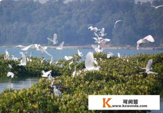 广西北海旅游十大最佳景点