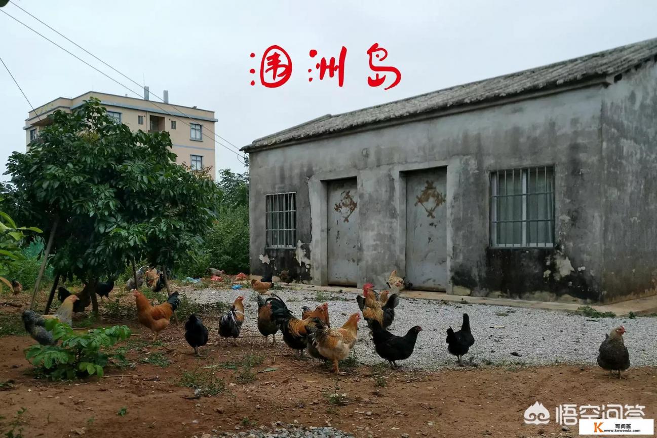如何评价去涠洲岛旅游时景区的收费情况