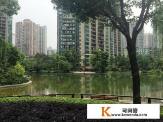 看了电视剧《安家》，想问一下，售楼员真的会坐飞机找客户签字吗