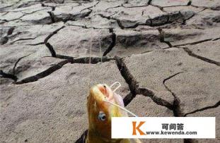 黄颡鱼和黄骨鱼的区别