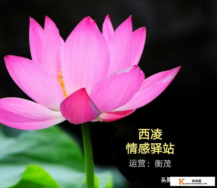 为什么空姐个个年轻漂亮身材又好？娶一个漂亮空姐生活会很幸福吗