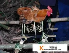 九龙抬尸棺是什么电影