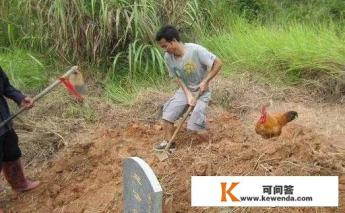 九龙抬尸棺是什么电影