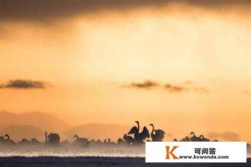 11月份适合去哪个国家旅游