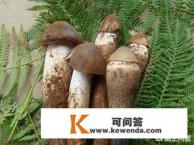 鸡枞第一年被采摘之后会自己移动位置，是真的吗