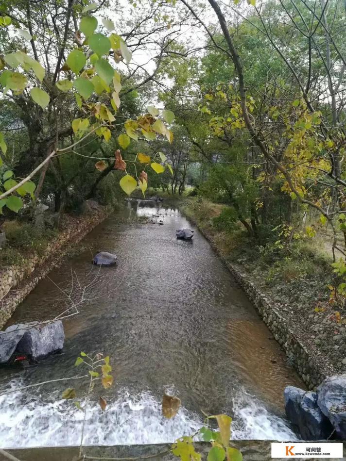 中山市，一座融合历史与现代的城市之旅