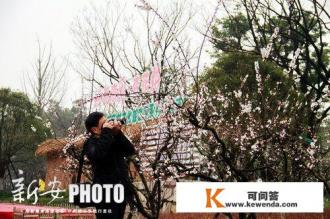 池州的杏花村文化旅游区怎么样