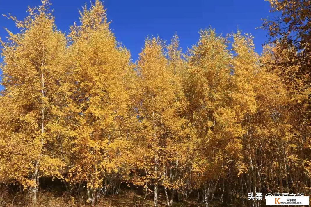 从10月5日到20日,计划开启一场塞罕坝草原及内蒙方向的自驾游,诚邀各位旅游达人分享您的路书心得,为我的旅程指点迷津。