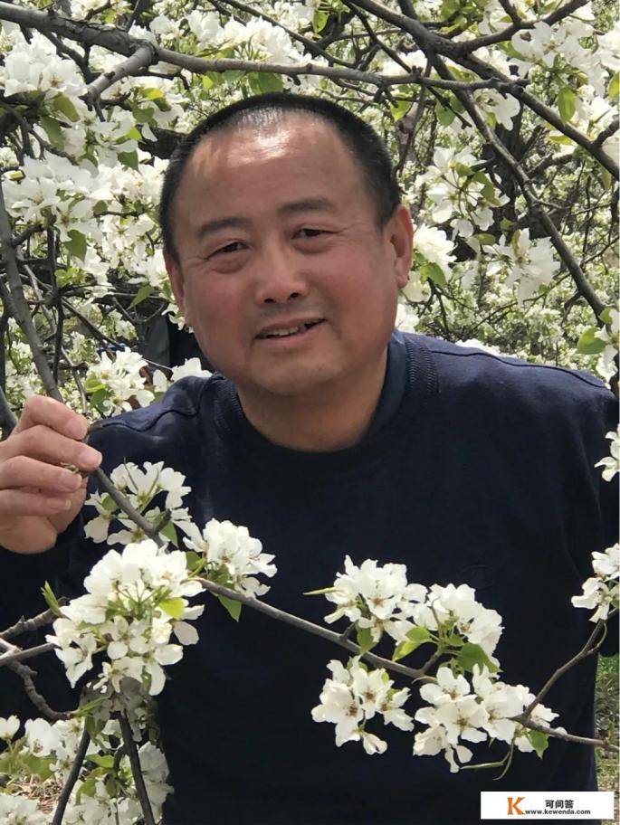 怀孕可以吃红薯吗