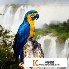 阿根廷vs巴西的比赛地点