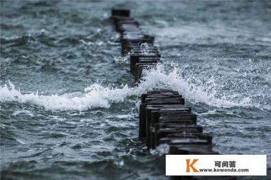 大学的高数题目不会做，可以用什么搜题软件?注意，是大学的题目