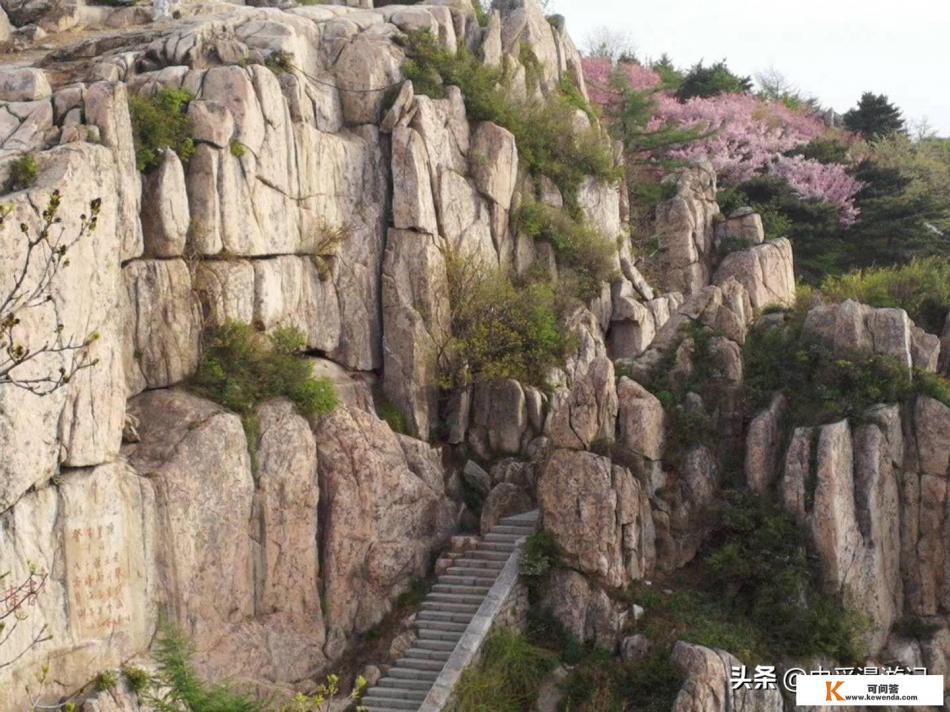 山东跟团好还是自由行好