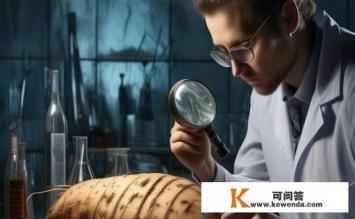为什么木薯有毒，木薯毒性探秘，为何它有毒？