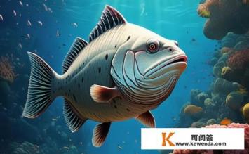 老头鱼学名叫什么，关于老头鱼的学名是什么？