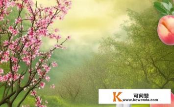 桃仁的功效与作用是什么，桃仁的效用及功效有哪些？