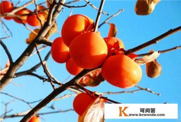 形容又甜又涩词语