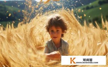 麦旋风的意思，麦旋风的含义是什么？