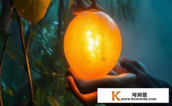 卡曼橘是什么，卡曼橘，神秘果实探秘