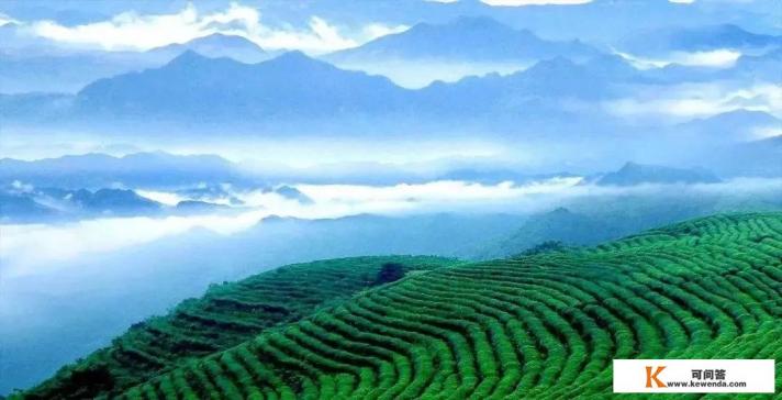 夏天必去的旅游景点