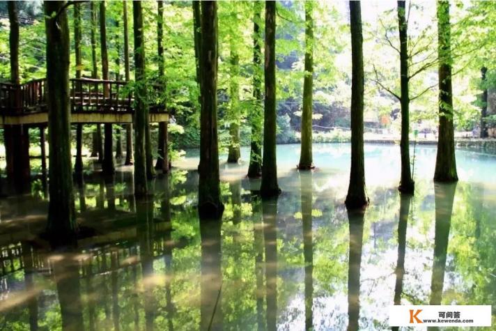 夏天必去的旅游景点