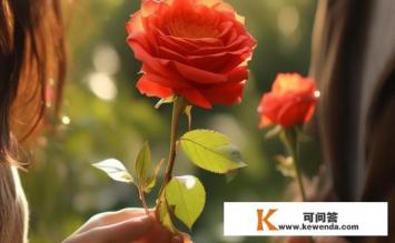 什么叫借花，借花的含义是什么？