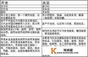 荞麦是高粱吗