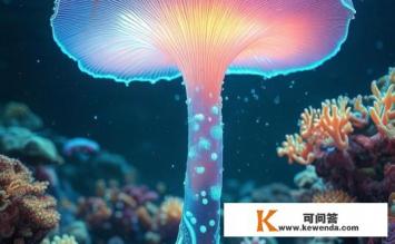 海蘑菇是什么，海蘑菇的奥秘是什么？