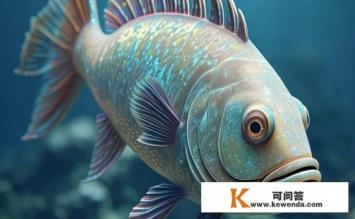 石鱼是指什么，石鱼的指代与含义是什么？