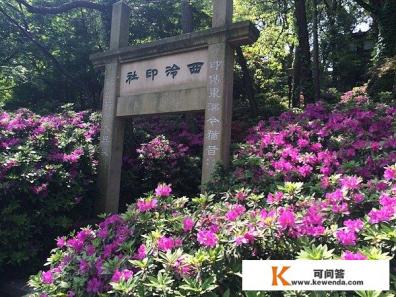 文艺旅游文案