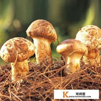 做饭的技巧和绝活