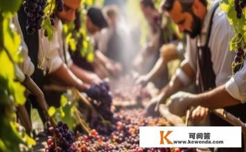 酿制葡萄酒正宗做法，葡萄酒正宗酿制方法是什么？