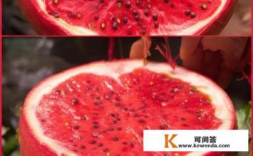 红毛丹怎么吃，红毛丹的正确食用方法？